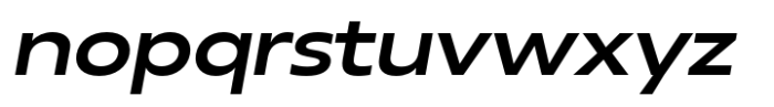 Neue Reman Sans Semi Bold Expanded Italic Font LOWERCASE