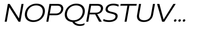 Neue Reman Sans Semi Expanded Italic Font UPPERCASE