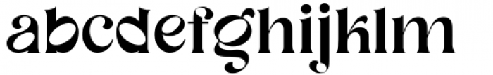 Neug Asia Serif Font LOWERCASE