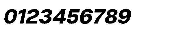 Neutiva Bold Italic Font OTHER CHARS