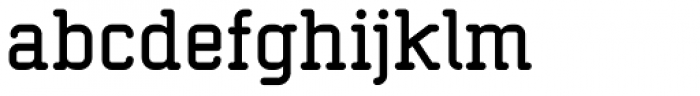 Neutraliser Serif Bold Font LOWERCASE