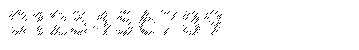 Nevaeh Scribe Bold Font OTHER CHARS