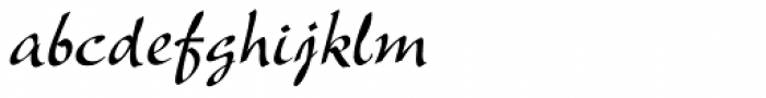 New Berolina Std Regular Font LOWERCASE
