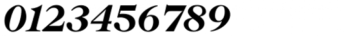 New Caslon SB Bold Italic Font OTHER CHARS