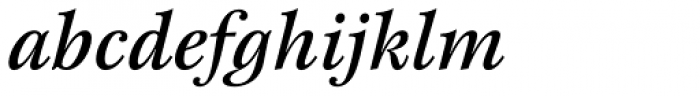 New Esprit Std Medium Italic Font LOWERCASE