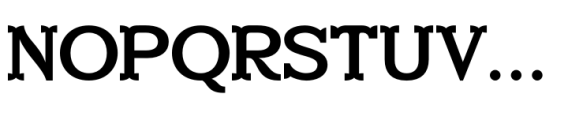 New Marion Regular Font UPPERCASE