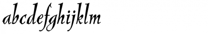 New Pelican LXSN Italic Font LOWERCASE