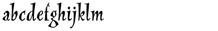 New Pelican RXSN Regular Font LOWERCASE
