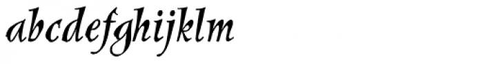 New Pelican SXSN Italic Font LOWERCASE
