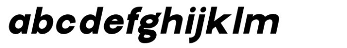 New Trusty Black Italic FONT