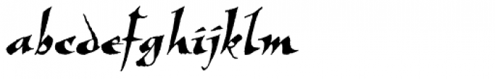 New Visigoth LXSN Italic Font LOWERCASE