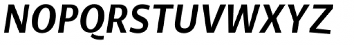 NewLibris Bold Italic Font UPPERCASE