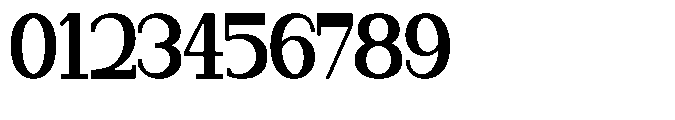 Newborn Times Black Condensed Font OTHER CHARS