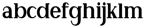 Newborn Times Black Condensed FONT