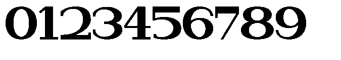 Newborn Times Black Expanded Font OTHER CHARS