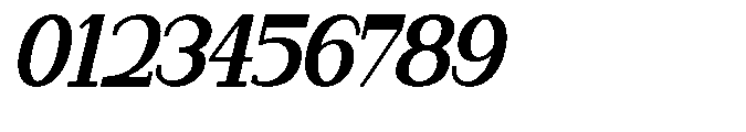 Newborn Times Black Slanted Condensed Font OTHER CHARS