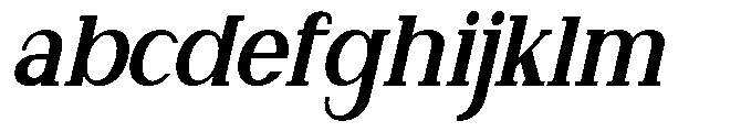 Newborn Times Black Slanted Condensed FONT