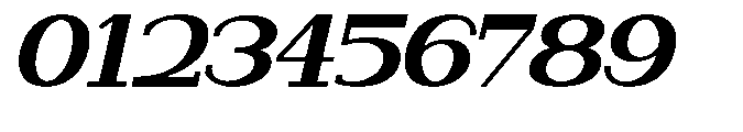 Newborn Times Black Slanted Expanded Font OTHER CHARS