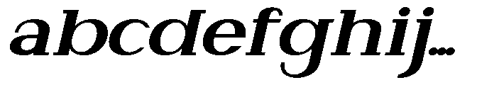 Newborn Times Black Slanted Expanded FONT