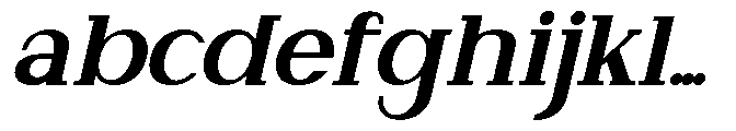 Newborn Times Black Slanted FONT