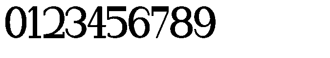 Newborn Times Bold Condensed Font OTHER CHARS