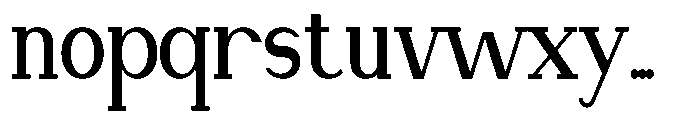 Newborn Times Bold Condensed Font LOWERCASE