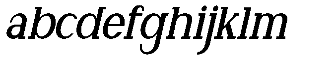 Newborn Times Bold Slanted Condensed FONT