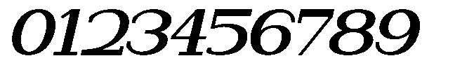 Newborn Times Bold Slanted Expanded Font OTHER CHARS