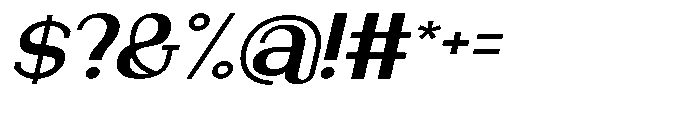 Newborn Times Bold Slanted Expanded Font OTHER CHARS