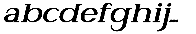Newborn Times Bold Slanted Expanded FONT