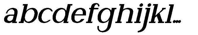 Newborn Times Bold Slanted FONT