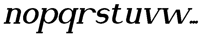 Newborn Times Bold Slanted Font LOWERCASE