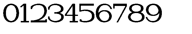 Newborn Times Expanded Font OTHER CHARS