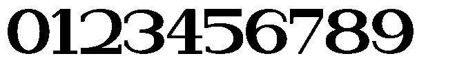 Newborn Times Extra Bold Expanded Font OTHER CHARS