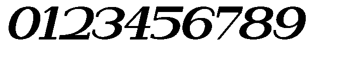 Newborn Times Extra Bold Slanted Expanded Font OTHER CHARS