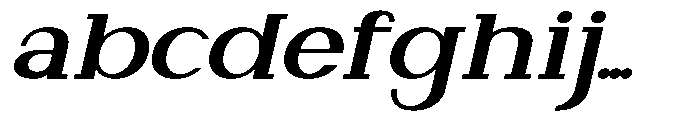 Newborn Times Extra Bold Slanted Expanded FONT