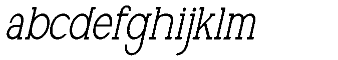 Newborn Times Extra Light Slanted Condensed FONT