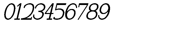 Newborn Times Light Slanted Condensed Font OTHER CHARS
