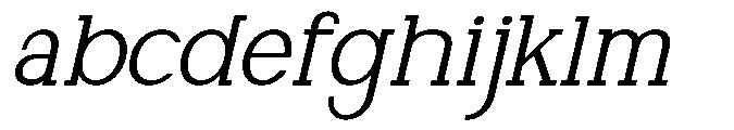 Newborn Times Light Slanted FONT