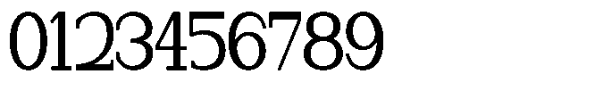 Newborn Times Medium Condensed Font OTHER CHARS