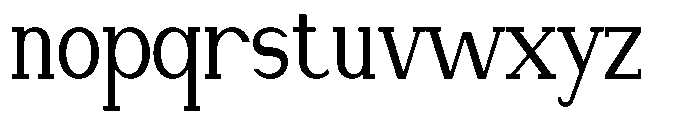 Newborn Times Medium Condensed Font LOWERCASE