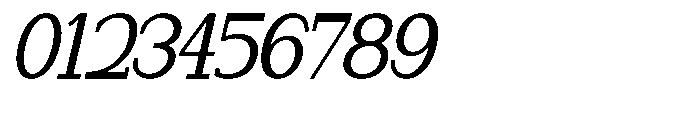 Newborn Times Medium Slanted Condensed Font OTHER CHARS