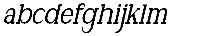 Newborn Times Medium Slanted Condensed FONT