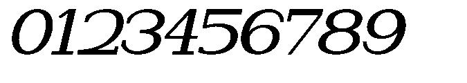 Newborn Times Medium Slanted Expanded Font OTHER CHARS