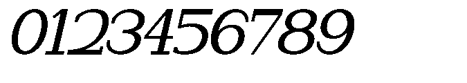Newborn Times Medium Slanted Font OTHER CHARS
