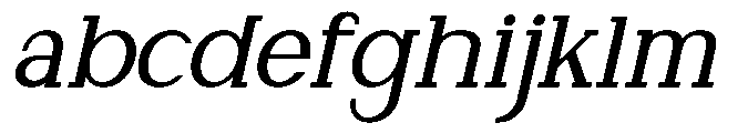 Newborn Times Medium Slanted FONT