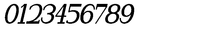 Newborn Times Semi Bold Slanted Condensed Font OTHER CHARS