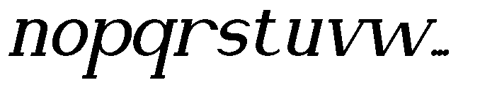 Newborn Times Semi Bold Slanted Font LOWERCASE