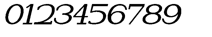 Newborn Times Slanted Expanded Font OTHER CHARS