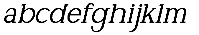 Newborn Times Slanted FONT